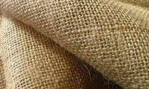 WhatsApp Image 2021-08-01 at 8.27.15 PM